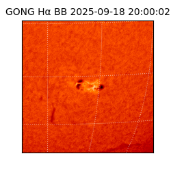 gong - 2025-09-18T20:00:02