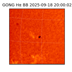 gong - 2025-09-18T20:00:02