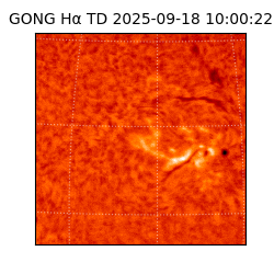 gong - 2025-09-18T10:00:22