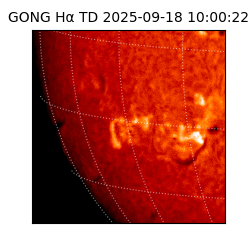 gong - 2025-09-18T10:00:22