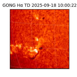 gong - 2025-09-18T10:00:22