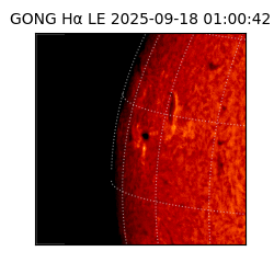 gong - 2025-09-18T01:00:42