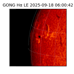 gong - 2025-09-18T06:00:42
