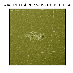 saia - 2025-09-19T09:00:14.125000