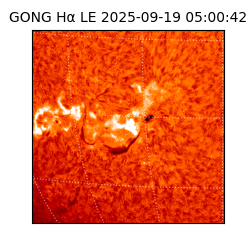 gong - 2025-09-19T05:00:42