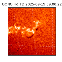 gong - 2025-09-19T09:00:22