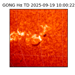 gong - 2025-09-19T10:00:22