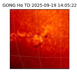 gong - 2025-09-19T14:05:22
