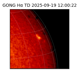 gong - 2025-09-19T12:00:22