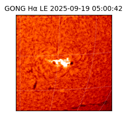 gong - 2025-09-19T05:00:42