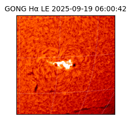 gong - 2025-09-19T06:00:42