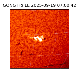 gong - 2025-09-19T07:00:42