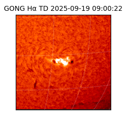 gong - 2025-09-19T09:00:22