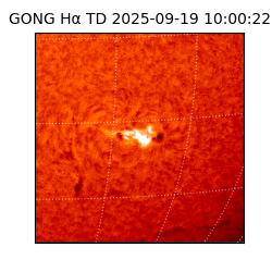 gong - 2025-09-19T10:00:22