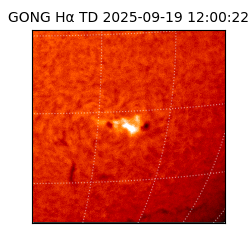 gong - 2025-09-19T12:00:22