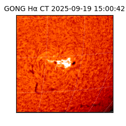 gong - 2025-09-19T15:00:42