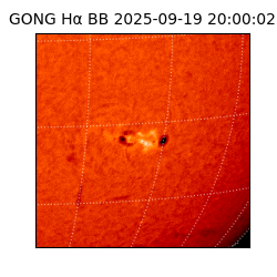 gong - 2025-09-19T20:00:02