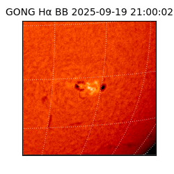 gong - 2025-09-19T21:00:02