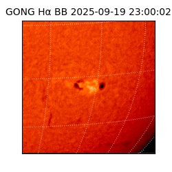 gong - 2025-09-19T23:00:02
