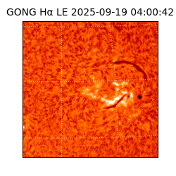 gong - 2025-09-19T04:00:42