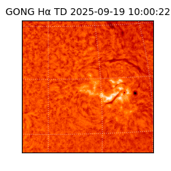 gong - 2025-09-19T10:00:22