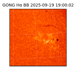 gong - 2025-09-19T19:00:02