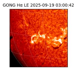 gong - 2025-09-19T03:00:42