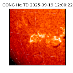 gong - 2025-09-19T12:00:22