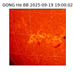 gong - 2025-09-19T19:00:02