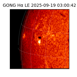 gong - 2025-09-19T03:00:42