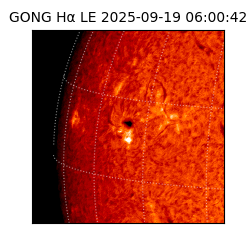 gong - 2025-09-19T06:00:42