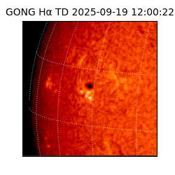 gong - 2025-09-19T12:00:22