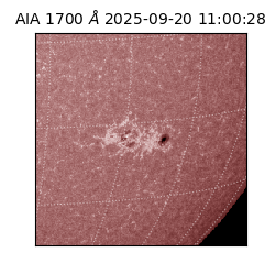 saia - 2025-09-20T11:00:28.727000