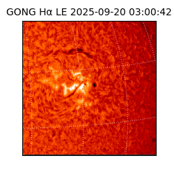gong - 2025-09-20T03:00:42
