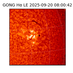 gong - 2025-09-20T08:00:42