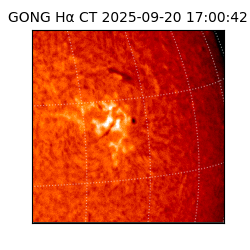 gong - 2025-09-20T17:00:42