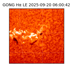 gong - 2025-09-20T06:00:42