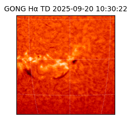 gong - 2025-09-20T10:30:22