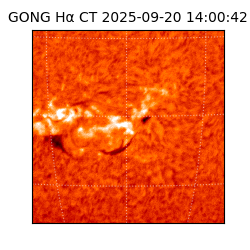 gong - 2025-09-20T14:00:42