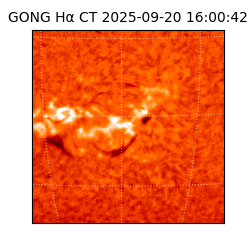 gong - 2025-09-20T16:00:42