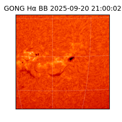 gong - 2025-09-20T21:00:02