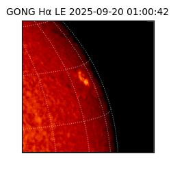 gong - 2025-09-20T01:00:42