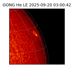 gong - 2025-09-20T03:00:42