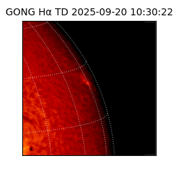 gong - 2025-09-20T10:30:22