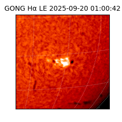 gong - 2025-09-20T01:00:42