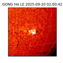 gong - 2025-09-20T02:00:42