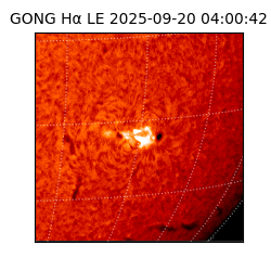 gong - 2025-09-20T04:00:42