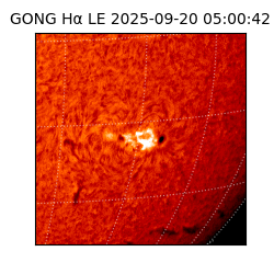 gong - 2025-09-20T05:00:42