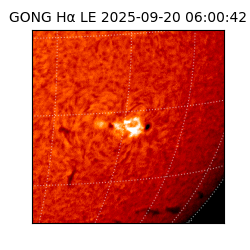 gong - 2025-09-20T06:00:42