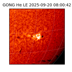 gong - 2025-09-20T08:00:42